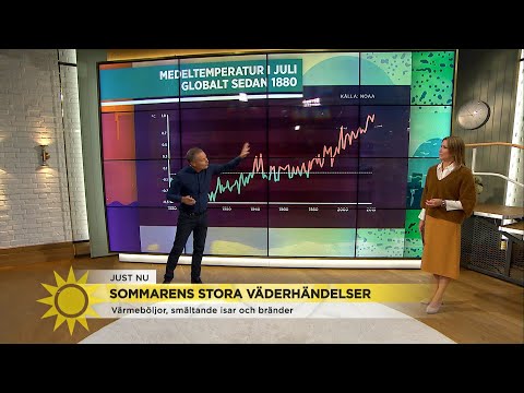 Klimatkollen – "Blir det här det normala så är vi för sent ute" - Nyhetsmorgon (TV4)