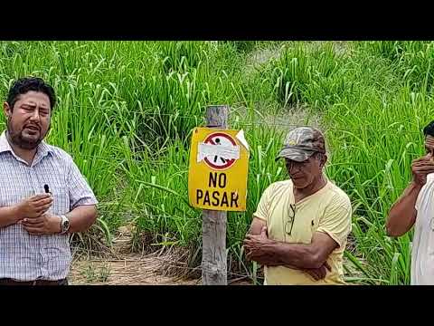 Suspenden audiencia de inspección ocular en camino ancestral bloqueado en San José de Chiquitos