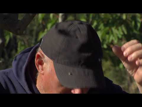 ZDRAVI I VESELI BILI - Ivica Žegarac Žuti