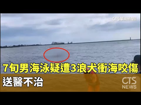 驚！7旬男海泳疑遭3浪犬衝海咬傷　送醫不治