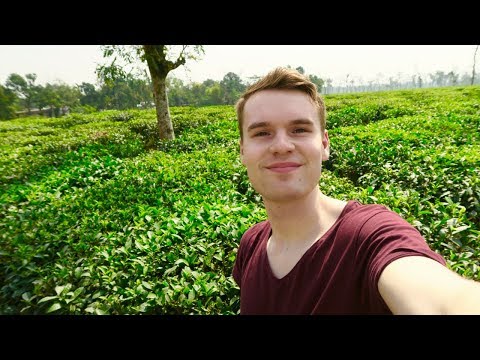 Jason Billam Travel