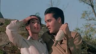 WILD IN THE COUNTRY ~ ELVIS