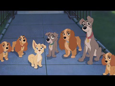 Welcome Home (Finale) l Lady And The Tramp 2 Scamp’s Adventure l Full HD l 1080p