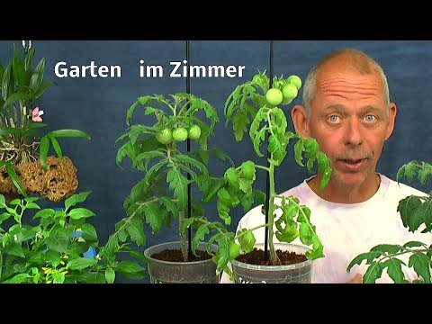 Wenn nejrodermit auf dem Bauch bei der Schwangerschaft Die Salbe der Retter beim Ekzem
