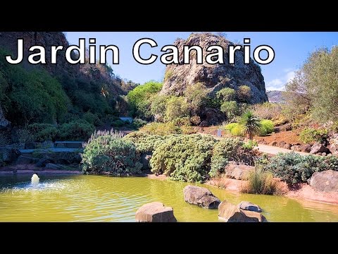Jardín Botánico Canario Viera y Clavijo (Jardin Canario), Gran Canaria | RotWo