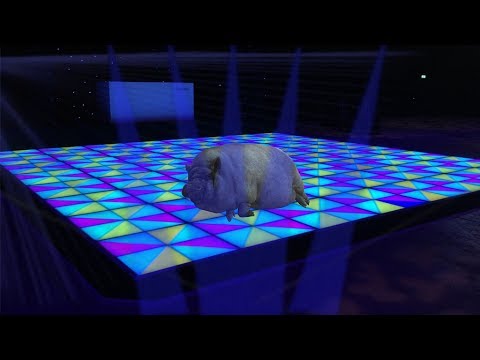 SKINNY CUNTED - THE DANCE OF THE FATTEST PIG