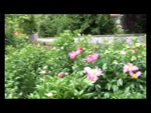 Wanderung der Tai-Chi-Gong-Sparte von Bad Münder nach Flegessen