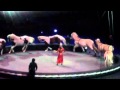 CIRCUS At The Wells Fargo Center 2 19 11