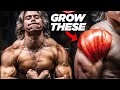 DO THIS TO GROW YOUR SHOULDERS | NATURAL AESTHETICS