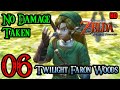 Zelda Twilight Princess Wii 100 Walkthrough 1080p HD Part 6 Twilight Faron Woods Tears Of Light