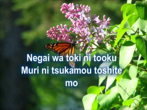 Ai no Uta (KOIZORA OST)