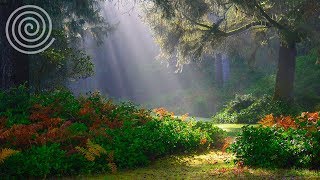 Music for baby brain development - Help with sleep - relaxing music