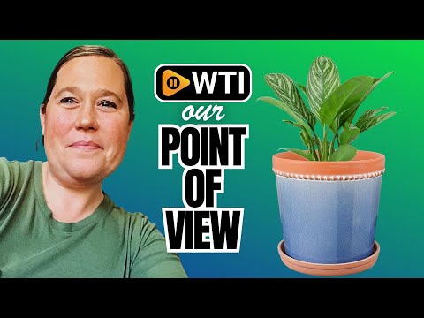 Ceramic Planter - WTI product video review