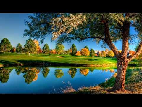 ❤️Эдгар Туниянц .Сборник Самых Красивых Мелодий. 🎧