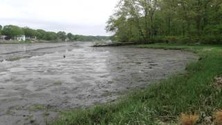 low tide warwick rhode island ri hd