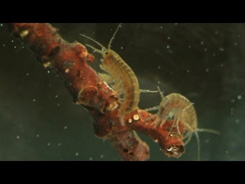 BuitenGewoon 20-05-2014 Ooijpolder