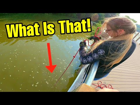 My Girlfriend Uncovers the Biggest Magnet Fishing Jackpot EVER!