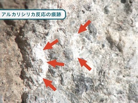 『ココカラ』Research16【百年保つコンクリートを造りたい】/金沢大学研究紹介動画