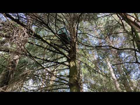 Роеловство. Развешиваю ловушки на новые места #Роеловсто