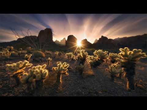 Deep Dreamy Vibes 07 - Altar Ego