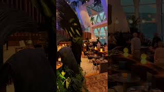 Caribbean cruise days just hit different.