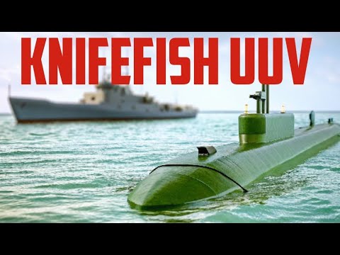 Knifefish Video 2370