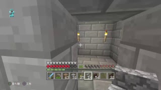 ［狂王マイクラ生放送］城作成！