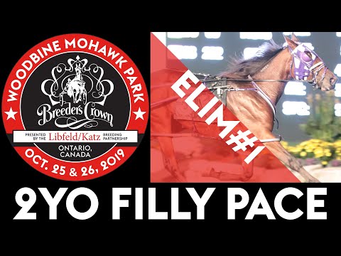 2019 Breeders Crown Elim#1 - Priceless - 2YO Filly Pace