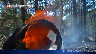 Главные новости. Выпуск от 13.08.2019