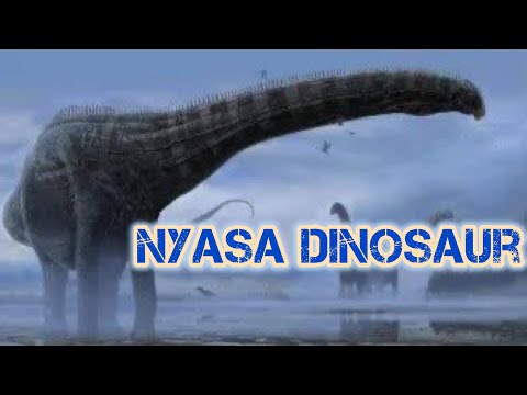 Nyasasaurus parringtoni