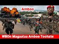 ODUU Caamsaa 31 2026 Waraanni Bilisummaa Oromoo Magaalaa Amboo Toohate Jedhame Oolmaa Oromia OMN