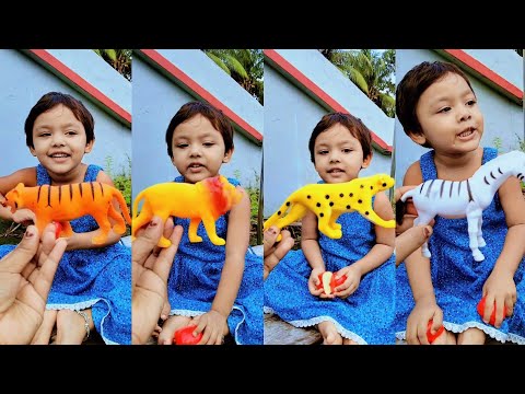 Mihika আজ সব গুলো animal 🐯এর নাম বলতে পারলো 🐅🤔🤣🐒 trending funny shorts video#shorts #viral #trending