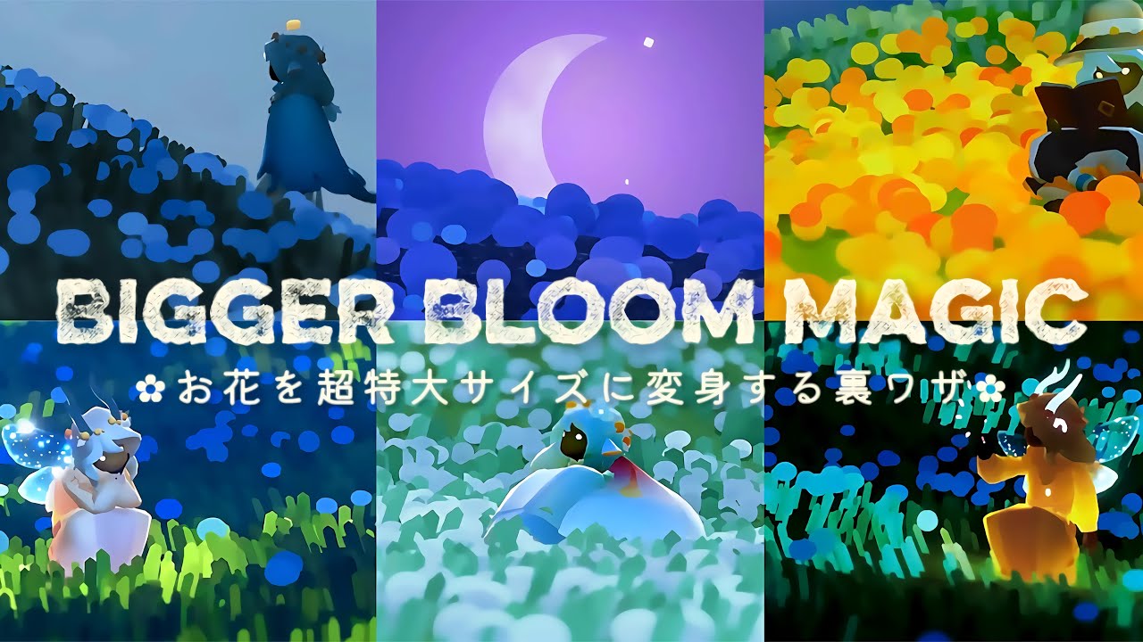 ﴾ 裏ワザ ﴿ふわふわ花畑がビッグサイズに大変身！₊❀̥୭ Giant Bloom Trick！