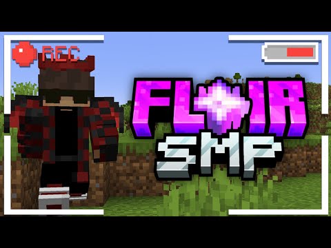 Shocking! Solqr's Application to Flair SMP Revealed