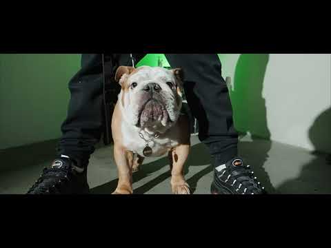 PVИV- BULLDOG feat. Hollowback242 (prod.John Soulcox) [BVDMVN EP]