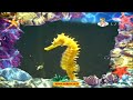 The Amazing World Underwater