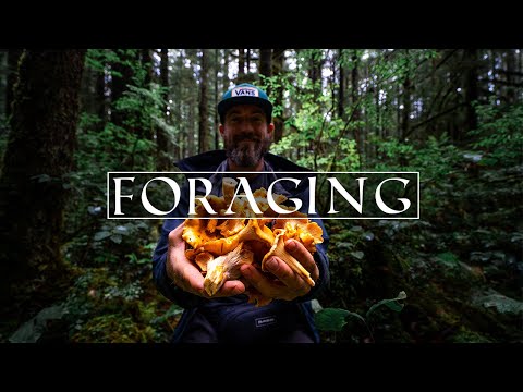 Mushroom Foraging on Vancouver Island