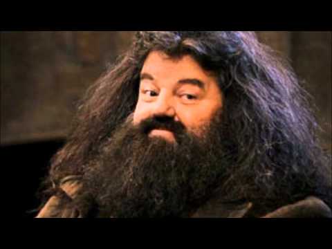 Hagrid The Professor