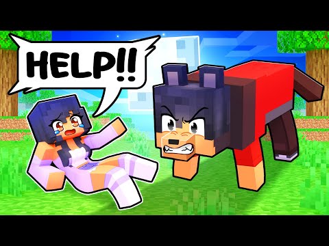 Aphmau Gets ATTACKED by FURIOUS WOLF!