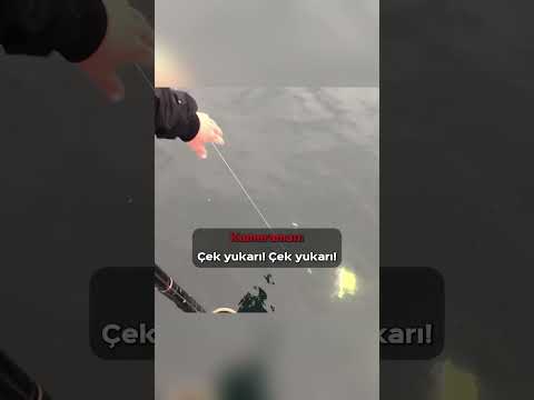 Bunu Kimse Beklemiyordu.