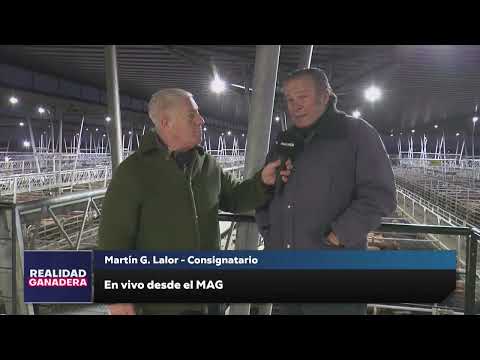 REALIDAD GANADERA - Martin Lalor (05-08-25)