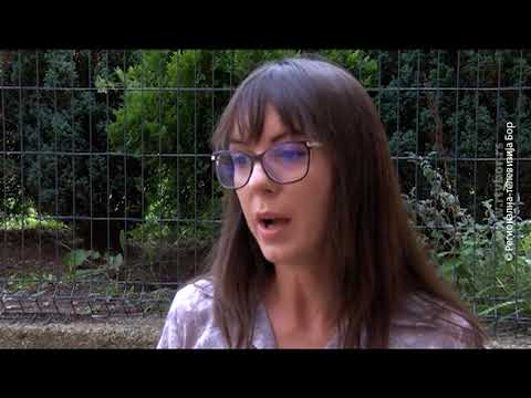 Dan pešačenja od Bora do Brestovačke banje, 9. septembar 2022. (RTV Bor)