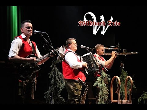 Wildbach Trio im Kunsthaus in Weiz