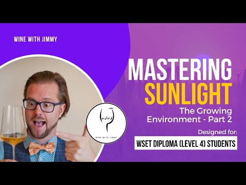 WSET Level 4 (WSET Diploma) Wine - Mastering The Growing Environment - Sunlight Part 2