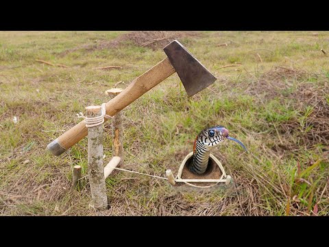 Build the Most Amazing Snake Trap In Hole Make By Axe| Easy Snake Trap