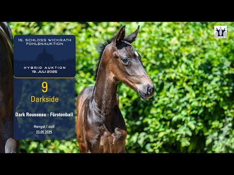 15. Schloss Wickrath Fohlenauktion Lot 09 Darkside Hengst v. Dark Rousseau - Fürstenball