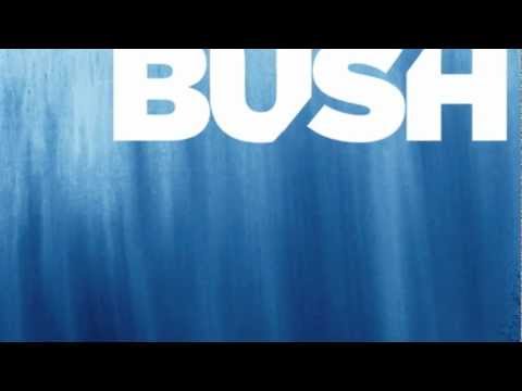 Bush - All Night Doctors