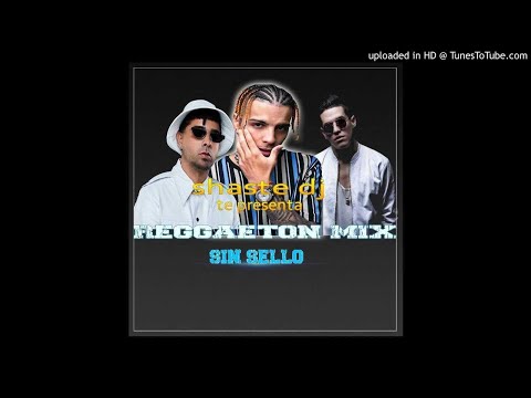 Mix De Reggaeton 2020 Shaste Dj