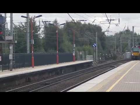 Roaring Cats at Wigan