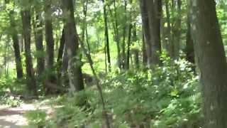 preview picture of video 'Neponset River Greenway Canton MA Signal Hill Part 1.'